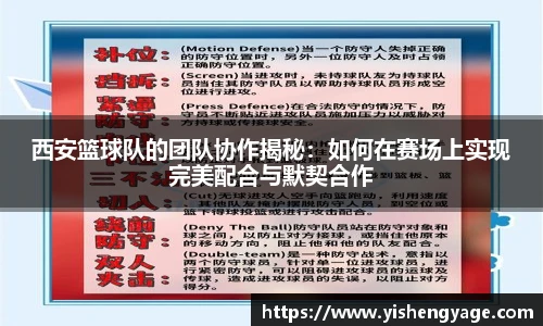 西安篮球队的团队协作揭秘：如何在赛场上实现完美配合与默契合作